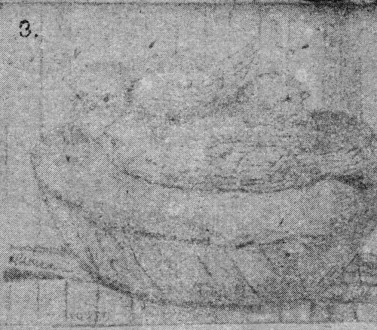 A kanárimadarak, Bibi és Fiúcska rajza Teleki Blankától
